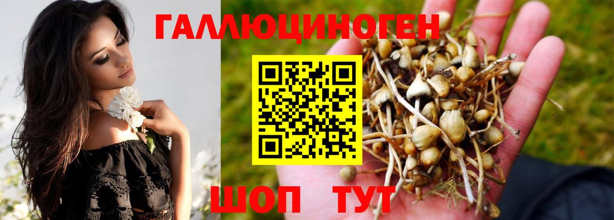 Галлюциногенные грибы MAGIC MUSHROOMS  Вход с VPN  Казань 